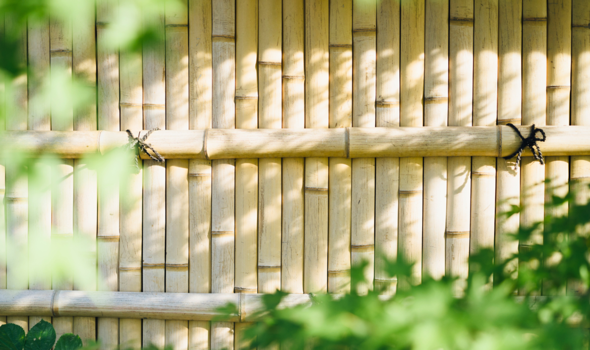 bamboo fence