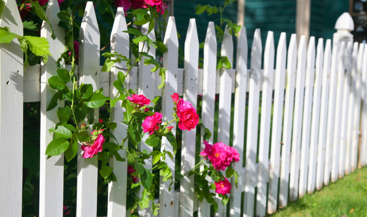 living fence