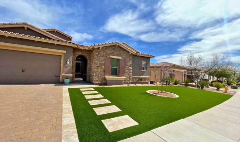 Wild Jungle Landscaping Arizona Project Images Outside Home Pathway Cave Creek