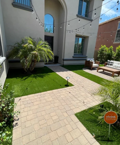Wild Jungle Landscaping Turf Installation