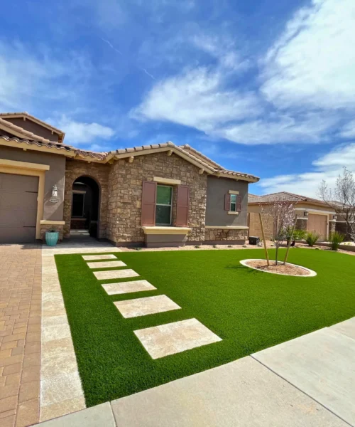 Wild Jungle Landscaping Arizona Project Images Outside Home Pathway Cave Creek