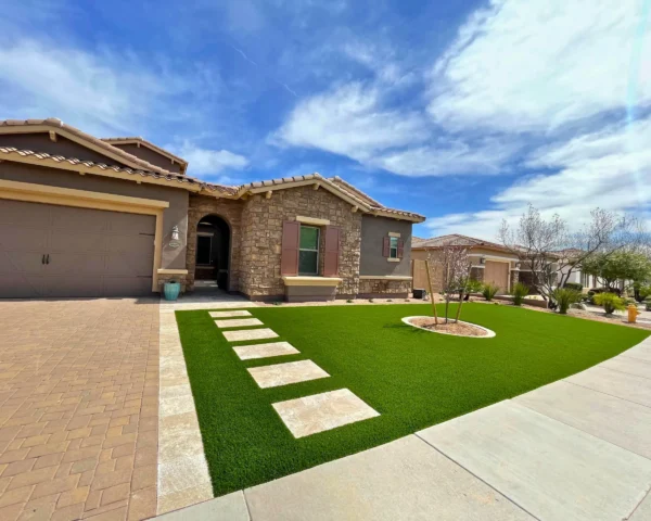 Wild Jungle Landscaping Arizona Project Images Outside Home Pathway Cave Creek