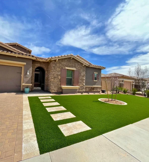 Wild Jungle Landscaping Arizona Project Images Outside Home Pathway Cave Creek