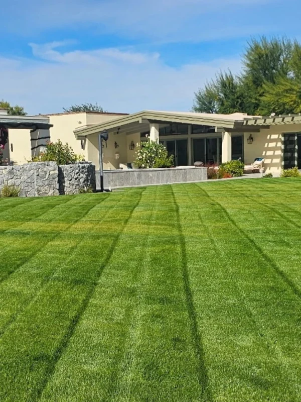 landscaping az phoenix